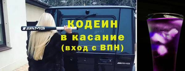 шишки Арсеньев
