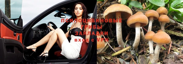 дживик Армянск
