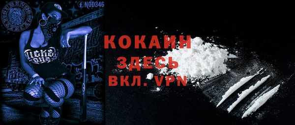 дживик Осташков