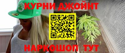 гашик Дубна