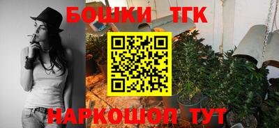 гашик Дубна