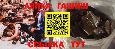 гашик Дубна