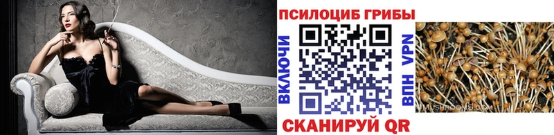 где найти наркотики Татарск Псилоцибиновые грибы мухоморы
