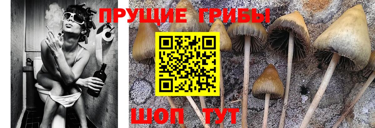 Галлюциногенные грибы MAGIC MUSHROOMS Татарск