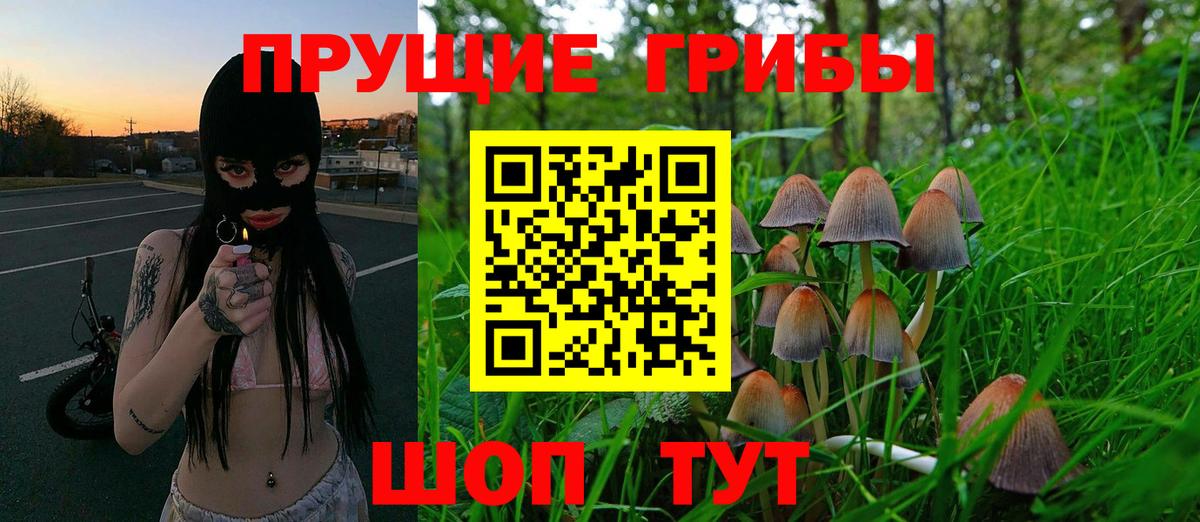Галлюциногенные грибы MAGIC MUSHROOMS  Галлюциногенные грибы Psilocybine cubensis  Татарск 