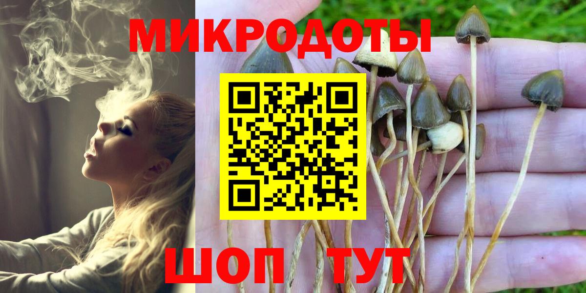 дарнет шоп  Галлюциногенные грибы MAGIC MUSHROOMS  Татарск  Вход с VPN  Псилоцибиновые грибы Magic Shrooms 
