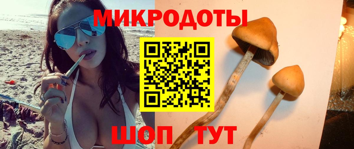 Псилоцибиновые грибы Cubensis Татарск